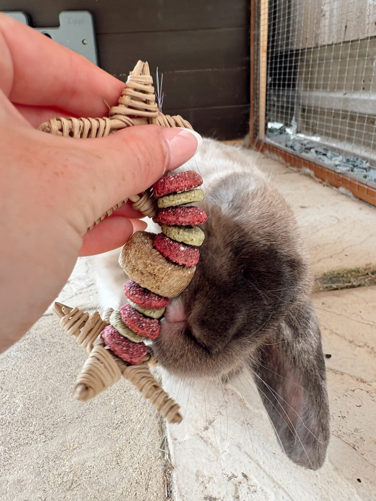 Veggie Vine Toy