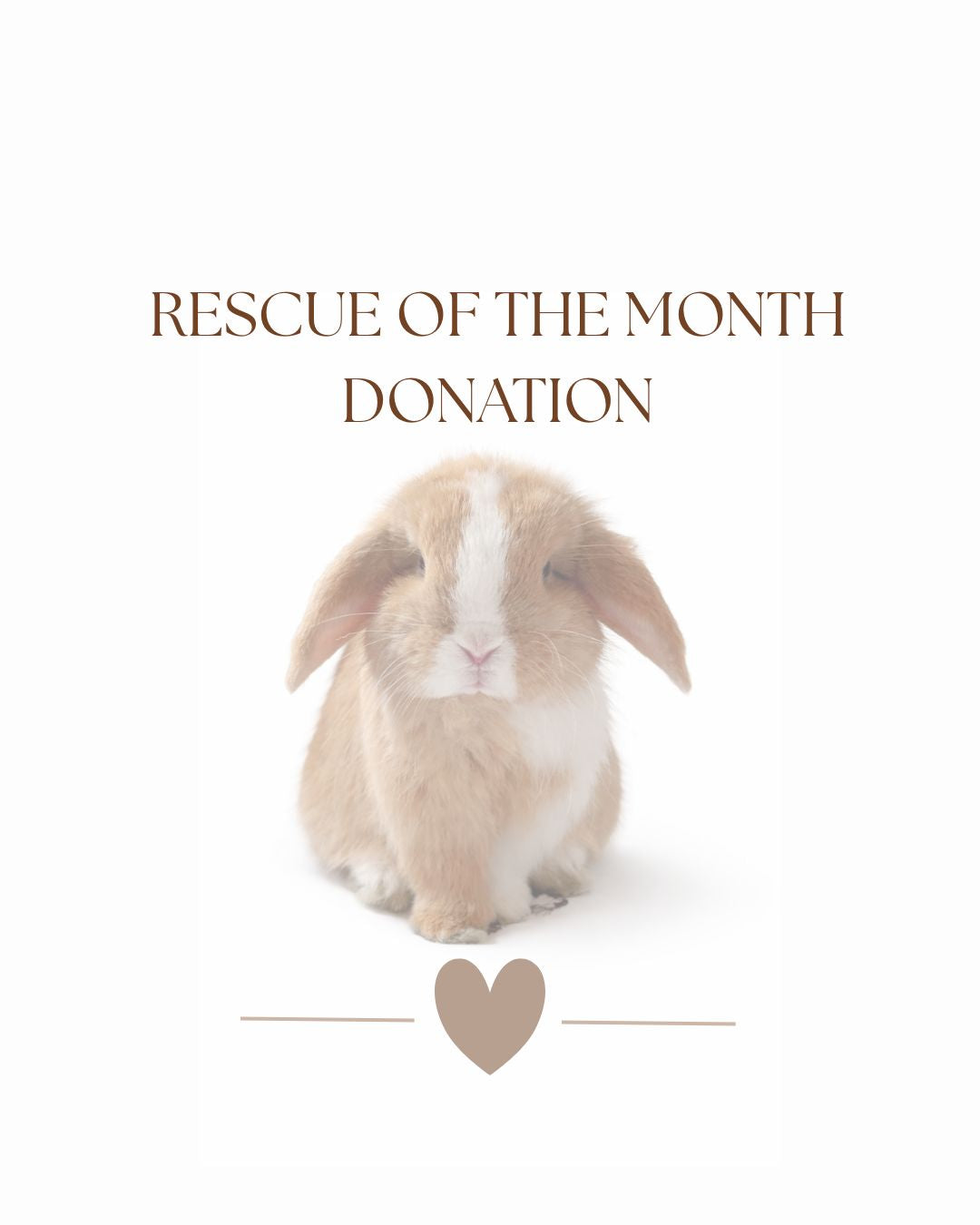 Rescue of the Month Donation