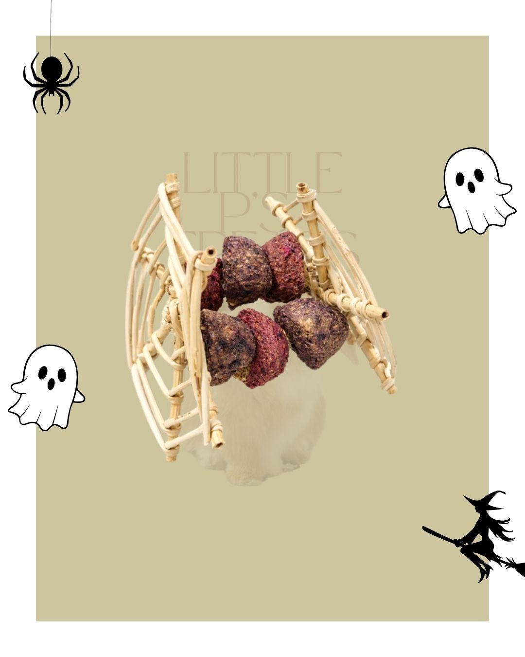 Cobweb Crunch