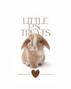 Little P's Treats - Home