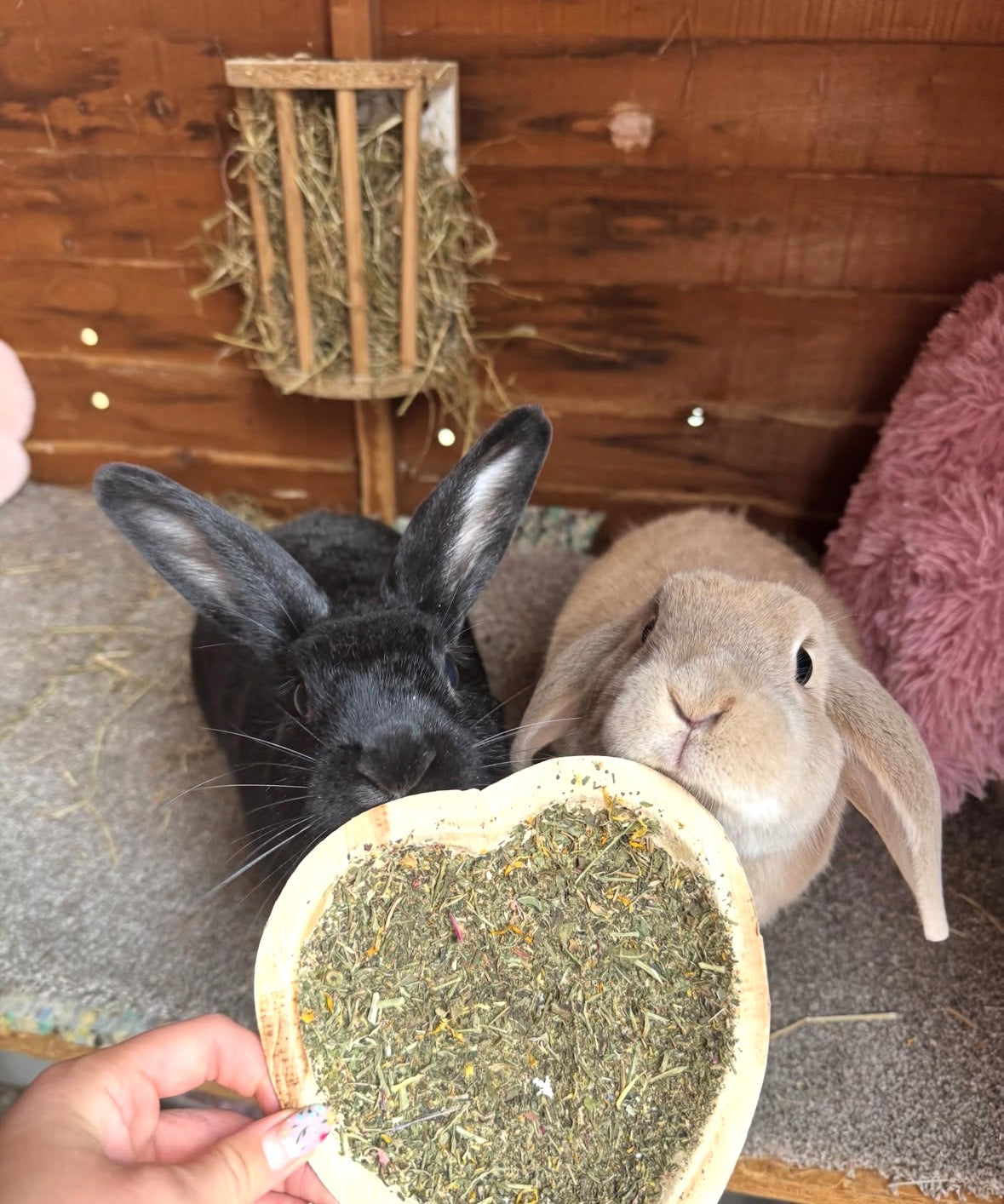 Herby Heart Bowls - 3 pack