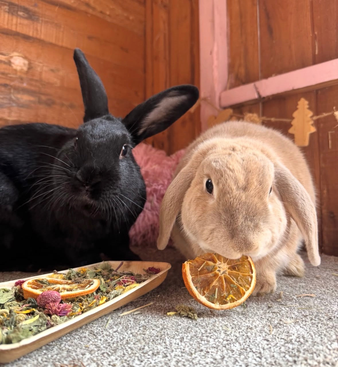 Petal & Peel Salad
