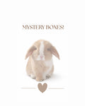 MYSTERY BOXES