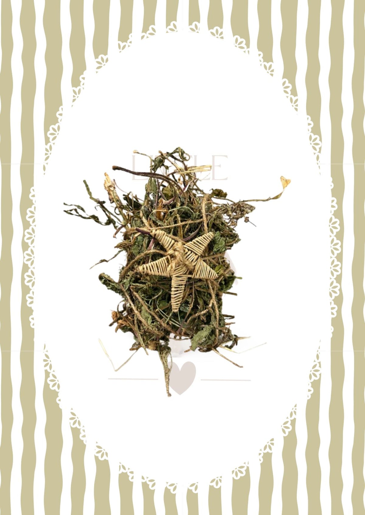 Stargazer Nest